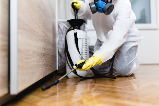 Flea Control Services in Keedysville, MD