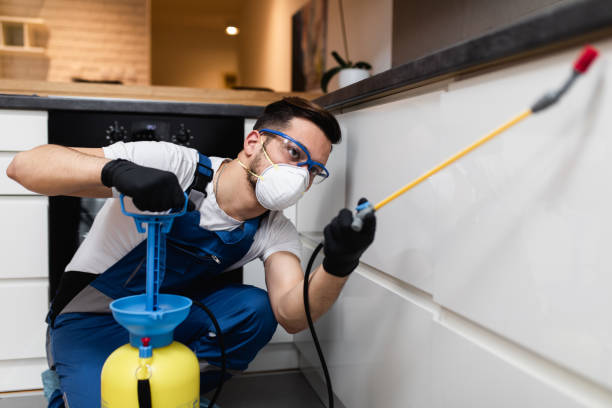 Reliable Keedysville, MD Pest Control Solutions