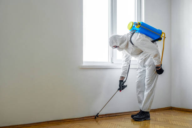 Best Wasp Removal Services  in Keedysville, MD