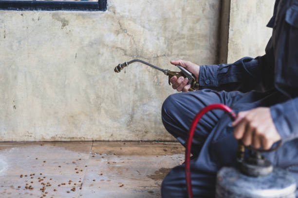 Best Wasp Removal Services  in Keedysville, MD