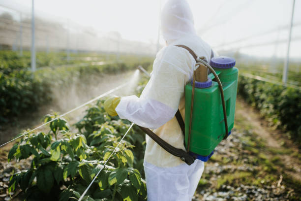 Best Exterminator Services  in Keedysville, MD